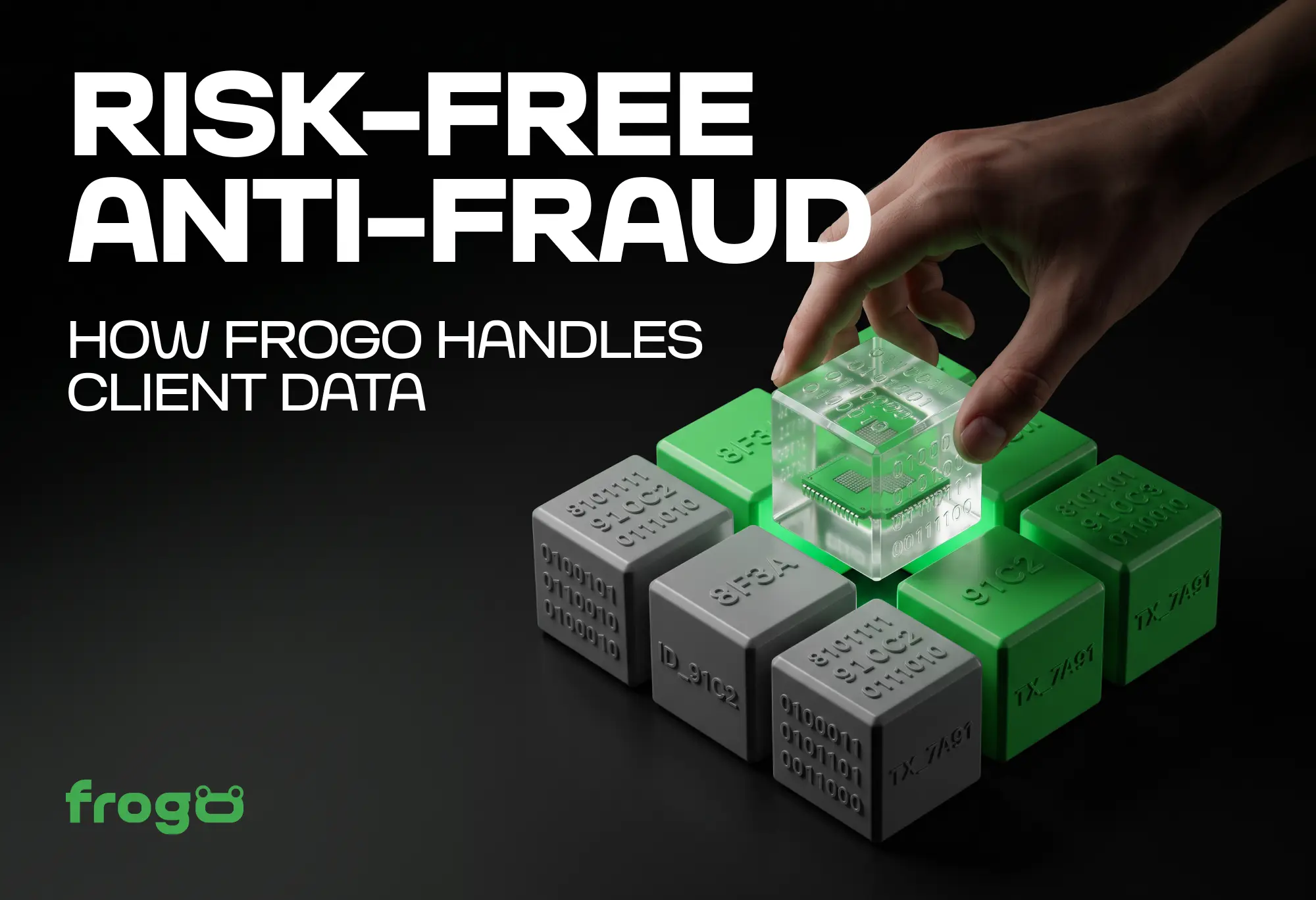 Risk-Free Anti-Fraud: How Frogo Handles Client Data - Frogo